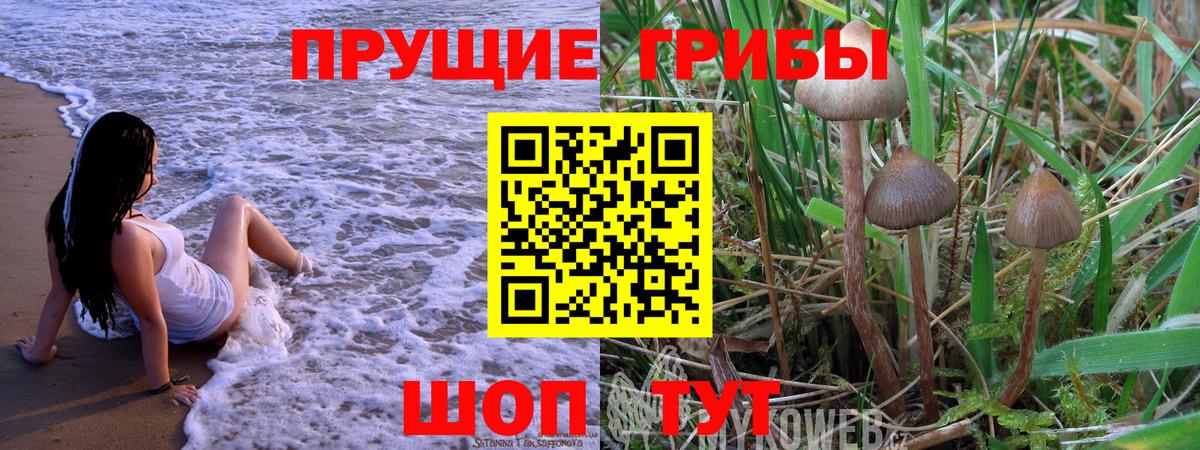 Ступино  Галлюциногенные грибы мухоморы  Вход с VPN 